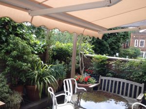 Chentto Hampstead Heath1