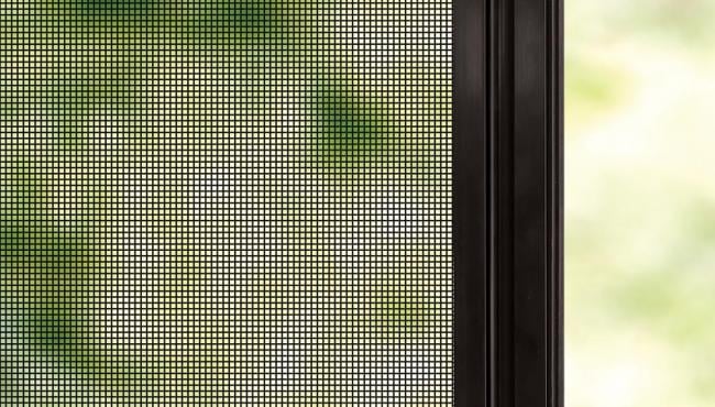 Window screens